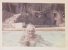 Hockney in pool